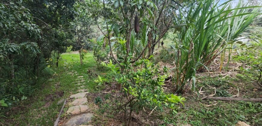 Casa – Rio – Lote 9.000 m2 – Alto Paraíso de Goiás