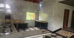 Casa – Rio – área 3,5ha – 9 km da Cachoeira Macaquinhos – Povoado Vereda – Alto Paraíso de Goiás