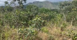 Chácara 4ha – acesso rio – 5 km de Teresinha – 15 km de Cavalcante – Chapada dos Veadeiros