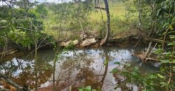 Casa – Rio – área 3,5ha – 9 km da Cachoeira Macaquinhos – Povoado Vereda – Alto Paraíso de Goiás