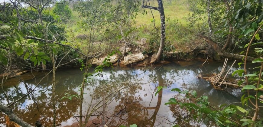 Casa – Rio – área 3,5ha – 9 km da Cachoeira Macaquinhos – Povoado Vereda – Alto Paraíso de Goiás