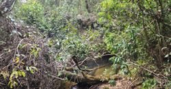 Chácara 5,30ha – Rio – Morro da Baleia – 13 km de Alto Paraíso de Goiás sentido São Jorge