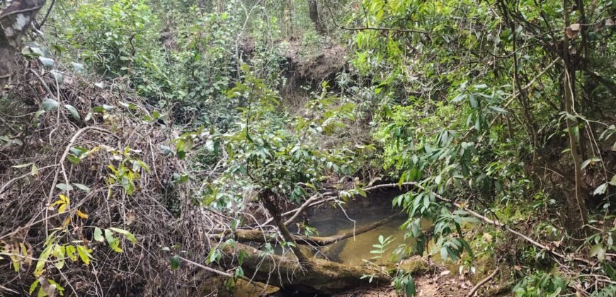 Chácara 5,30ha – Rio – Morro da Baleia – 13 km de Alto Paraíso de Goiás sentido São Jorge