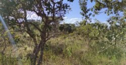 Lote 574m2 – R. dos Vinhaticos – Eldorado – Alto Paraíso de Goiás