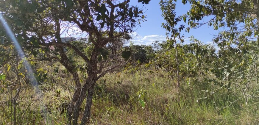 Lote 574m2 – R. dos Vinhaticos – Eldorado – Alto Paraíso de Goiás