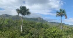 Chácara 4ha – acesso rio – 5 km de Teresinha – 15 km de Cavalcante – Chapada dos Veadeiros