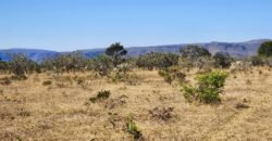Chácara 4ha – Poço artesiano – 5km de Alto Paraíso sentido Cachoeira dos Cristais – Chapada dos Veadeiros