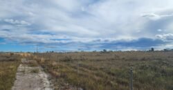 Chácara 5,30ha – Rio – Morro da Baleia – 13 km de Alto Paraíso de Goiás sentido São Jorge
