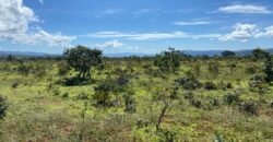 Chácara 4ha – Poço artesiano – 5km de Alto Paraíso sentido Cachoeira dos Cristais – Chapada dos Veadeiros