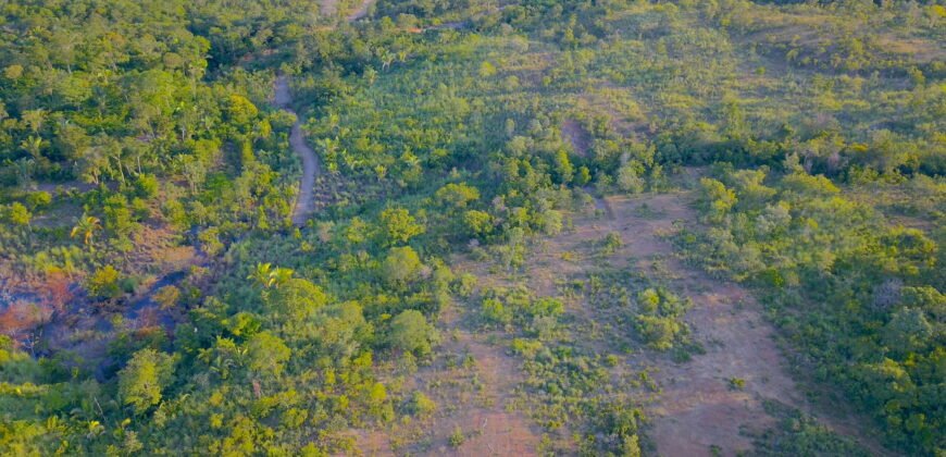 Linda Chácara 4,82ha – Lago Serra da Mesa – Niquelândia – Alto Paraíso de Goiás