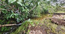Chácara 6,3 ha – Rio – Piscina para Banho – Vale Verde – Alto Paraíso de Goiás