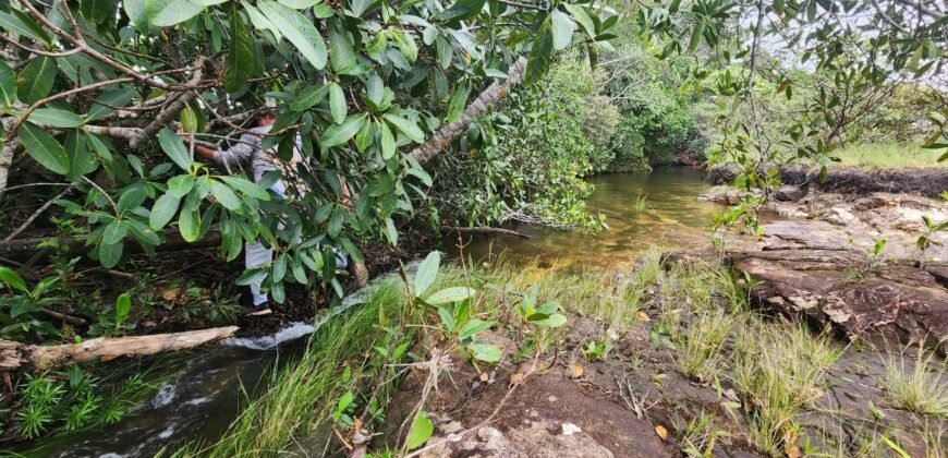 Chácara 6,3 ha – Rio – Piscina para Banho – Vale Verde – Alto Paraíso de Goiás