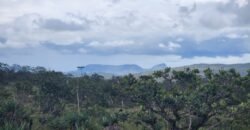 Chácara 6,3 ha – Rio – Piscina para Banho – Vale Verde – Alto Paraíso de Goiás