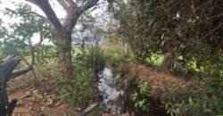 Maravilhosa Chácara 20ha – Recifra – Alto Paraíso de Goiás