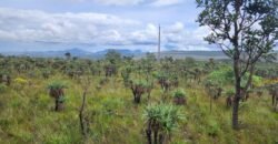 Chácara 6,3 ha – Rio – Piscina para Banho – Vale Verde – Alto Paraíso de Goiás