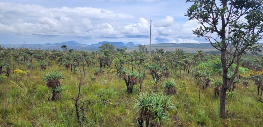 Chácara 6,3 ha – Rio – Piscina para Banho – Vale Verde – Alto Paraíso de Goiás