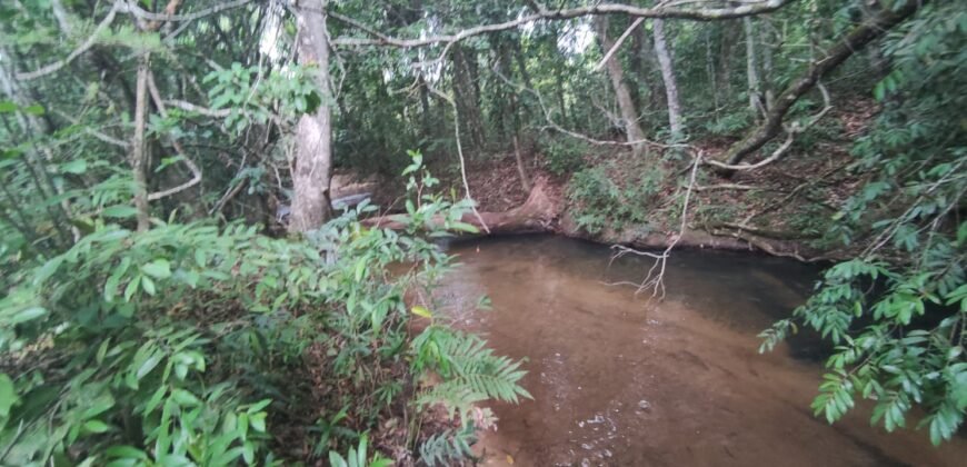 Maravilhosa Chácara 20ha – Recifra – Alto Paraíso de Goiás