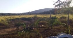 Maravilhosa Chácara 20ha – Recifra – Alto Paraíso de Goiás