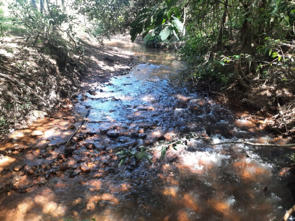 Chácara 2.7 Alq. – Povoado Bandeira – Rio – Nascente – 24km de Alto Paraíso de Goiás