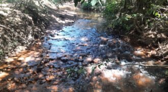 Chácara 2.7 Alq. – Povoado Bandeira – Rio – Nascente – 24km de Alto Paraíso de Goiás