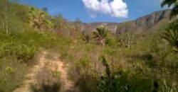 Chácara 14,6ha- Linda Vista – Poço artesiano – na Fazenda Santa Rita – 14km de Alto Paraíso de Goiás