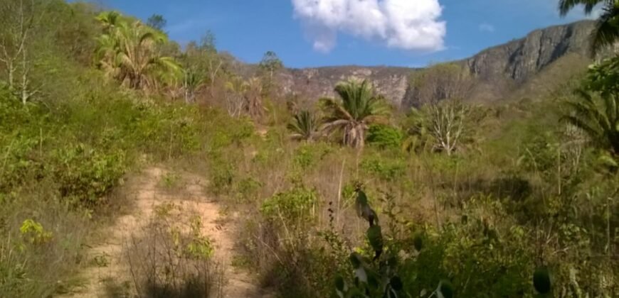 Chácara 14,6ha- Linda Vista – Poço artesiano – na Fazenda Santa Rita – 14km de Alto Paraíso de Goiás