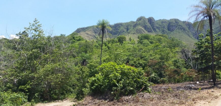 Chácara 14,6ha- Linda Vista – Poço artesiano – na Fazenda Santa Rita – 14km de Alto Paraíso de Goiás