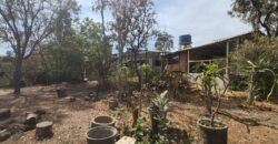 Casa + 2 Kitnet’s – São Jorge – Alto Paraíso de Goiás