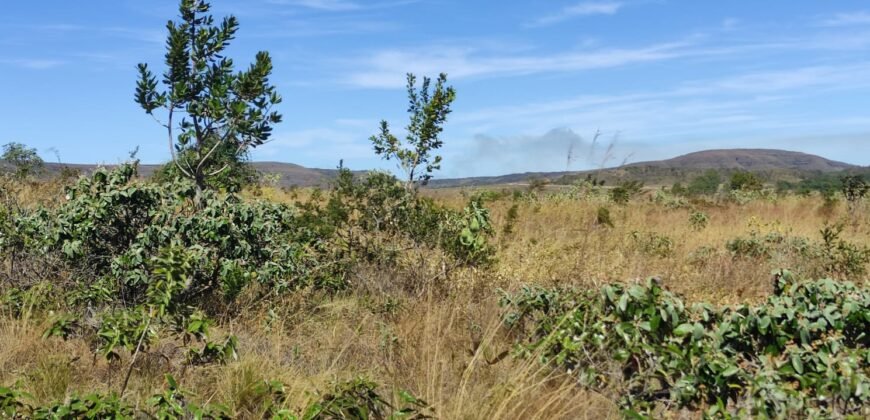 Chácara 5ha – na  Fazenda São Bento – entre Alto Paraíso e São Jorge