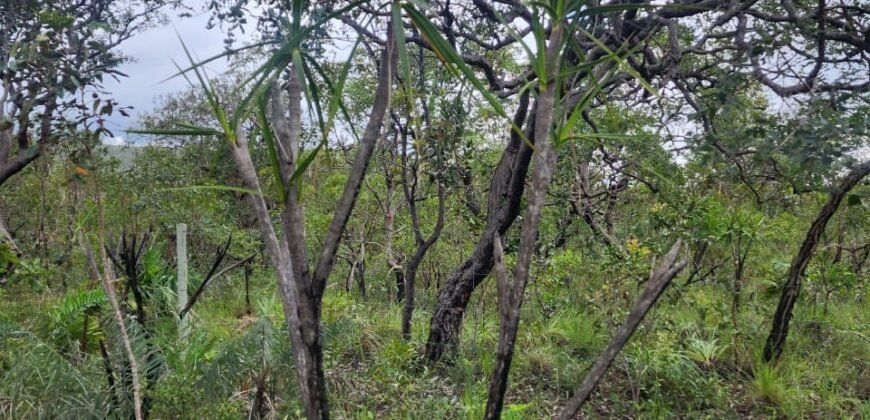 Chácara 6,3 ha – Rio – Piscina para Banho – Vale Verde – Alto Paraíso de Goiás