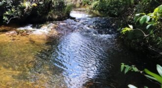 Chácara com Rio Almecegas – Vale verde – 15ha – 15km de Alto Paraíso de Goiás, Sentido Pousada Inacia