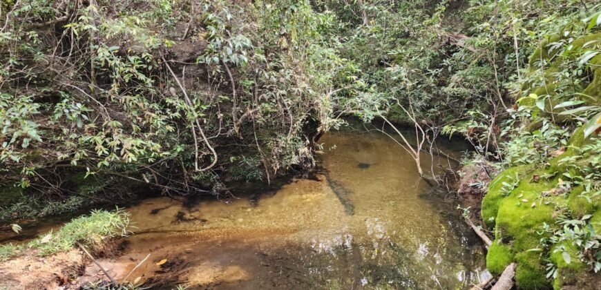 Chácara 5,30ha – Rio – Morro da Baleia – 13 km de Alto Paraíso de Goiás sentido São Jorge