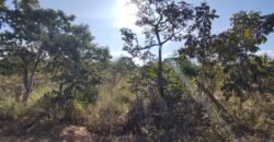 Lote 574m2 – R. dos Vinhaticos – Eldorado – Alto Paraíso de Goiás