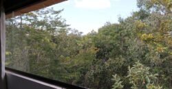 Pousada – Alto Padrão – Piscina Natural – Bairro Eldorado – Alto Paraíso de Goiás