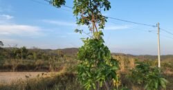 Lote 528m2 – Eldorado 3 – Alto Paraíso