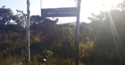 Maravilhosa Chácara 20ha – Recifra – Alto Paraíso de Goiás