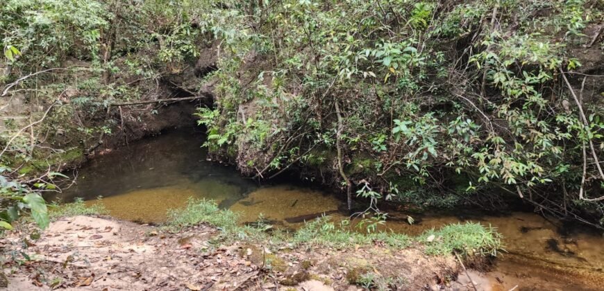 Chácara 5,30ha – Rio – Morro da Baleia – 13 km de Alto Paraíso de Goiás sentido São Jorge