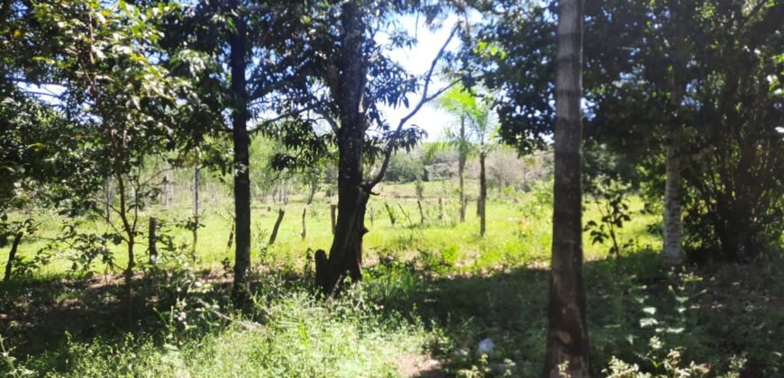 Chácara 2.7 Alq. – Povoado Bandeira – Rio – Nascente – 24km de Alto Paraíso de Goiás