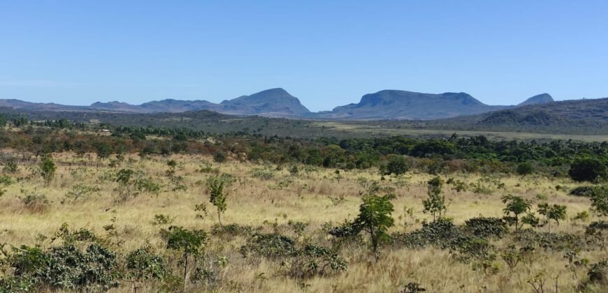 Chácara 5ha – na  Fazenda São Bento – entre Alto Paraíso e São Jorge