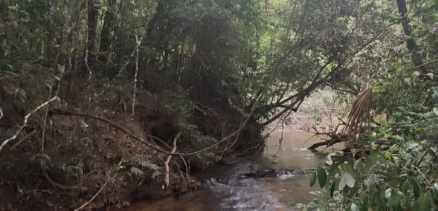 Maravilhosa Chácara 20ha – Recifra – Alto Paraíso de Goiás