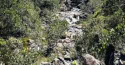 Chácara 7ha – Sentido Cachoeira dos Cristais – Alto Paraíso de Goiás