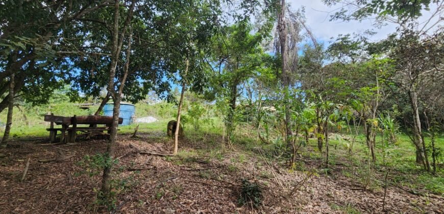 Casa – Rio – Lote 9.000 m2 – Alto Paraíso de Goiás