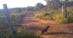 Maravilhosa Chácara 20ha – Recifra – Alto Paraíso de Goiás
