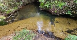 Chácara 5,30ha – Rio – Morro da Baleia – 13 km de Alto Paraíso de Goiás sentido São Jorge