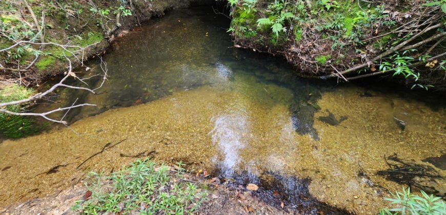 Chácara 5,30ha – Rio – Morro da Baleia – 13 km de Alto Paraíso de Goiás sentido São Jorge