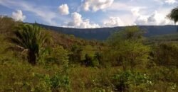 Chácara 14,6ha- Linda Vista – Poço artesiano – na Fazenda Santa Rita – 14km de Alto Paraíso de Goiás
