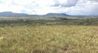 Propriedadee – 7ha – 12km de Alto Paraíso sentido São Jorge – Escritura e Registro Imobiliário – Chapada dos Veadeiros