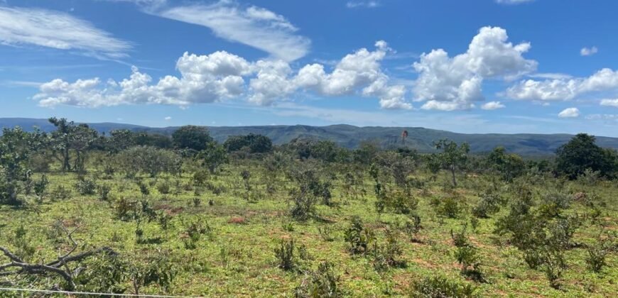 Chácara 4ha – Poço artesiano – 5km de Alto Paraíso sentido Cachoeira dos Cristais – Chapada dos Veadeiros