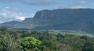 Chácara 4ha – acesso rio – 5 km de Teresinha – 15 km de Cavalcante – Chapada dos Veadeiros