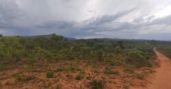 Maravilhosa Chácara 20ha – Recifra – Alto Paraíso de Goiás